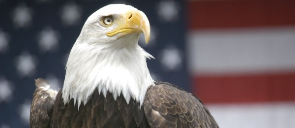 American Eagle