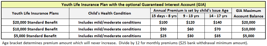 Youth Life Insurance Benefits