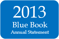 2013 Annual Statement Key Pages