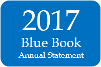 2017 Annual Statement Key Pages