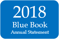 2018 Annual Statement Key Pages