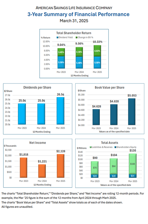 2025 Q1 Report