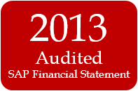 2013  SAP Financial Statement