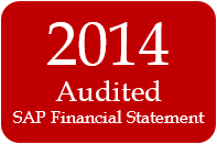 2014  SAP Financial Statement