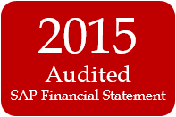 2015  SAP Financial Statement