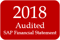 2018  SAP Financial Statement
