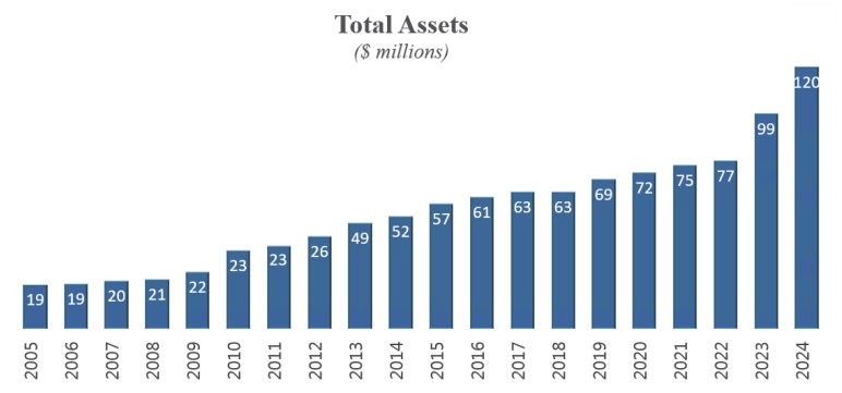 Total Assets